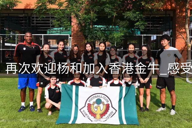 再次欢迎杨和加入香港金牛 感受下亚洲篮球冠军联赛东亚区MVP魅力